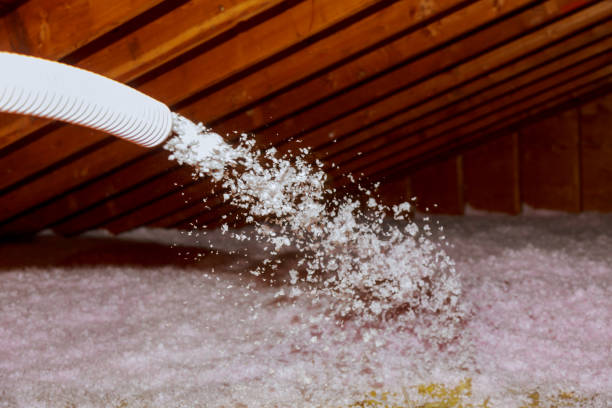 Best Residential Insulation Services  in USA